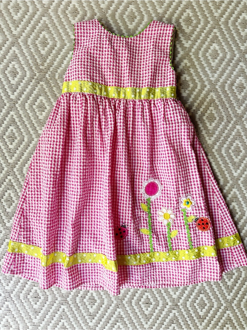Vintage B.T. Kids Red Gingham Dress with Floral Lady Bug Appliqués
